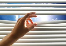 Diversions' Horizontal Blinds