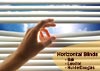 Horizontal Blinds